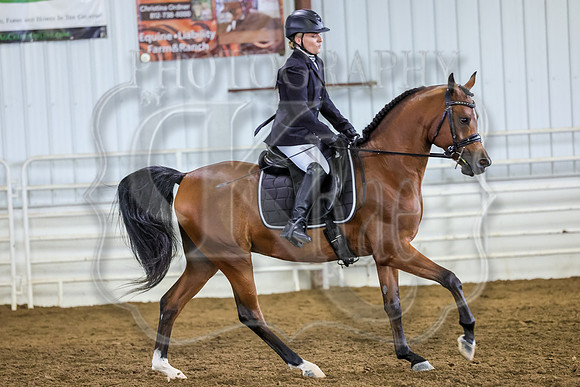 SASS-2429
