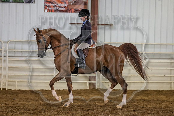 SASS-4077