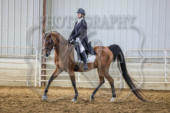 SASS-0663