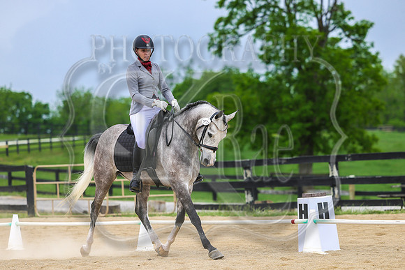 SASS-0951