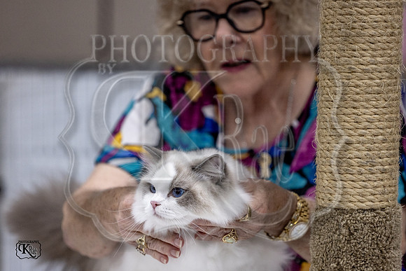CFA_WLMGTN-0124