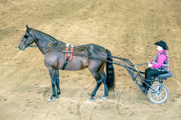 OSB_FallShow-0524