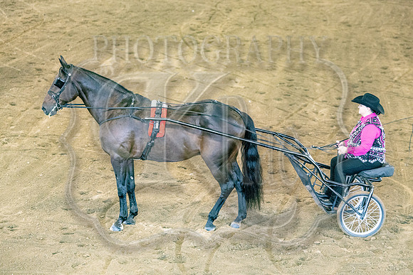 OSB_FallShow-0524