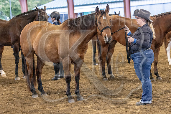 OSB_FallShow-0058