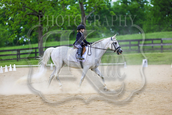 SASS-0538