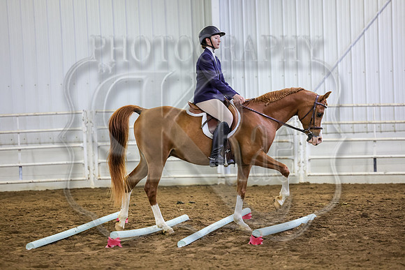 SASS-1366