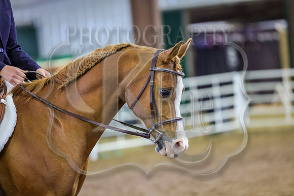 SASS-0008