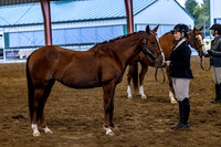 OSB_FallShow-0134