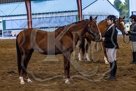 OSB_FallShow-0134