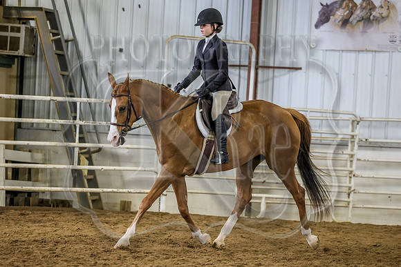 SASS-3901