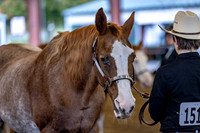 OSB_FallShow-0147