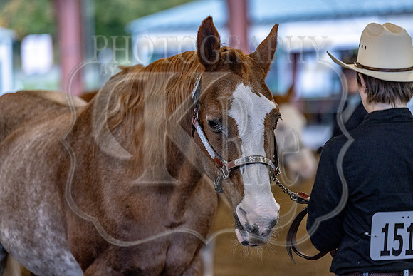 OSB_FallShow-0147