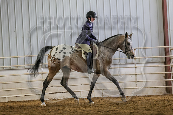 SASS-1677