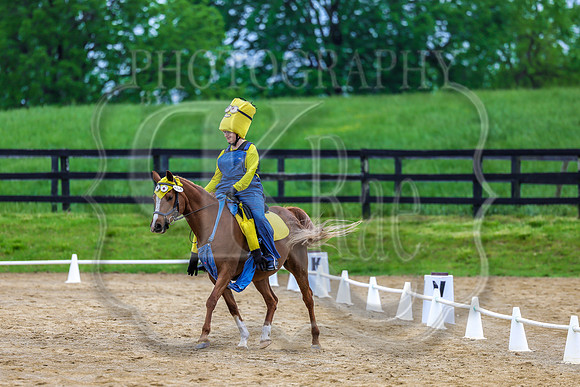 SASS-4626