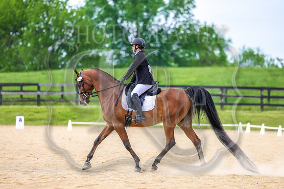 SASS-3586
