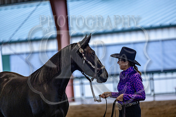 OSB_FallShow-0219