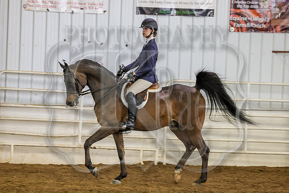 SASS-0910