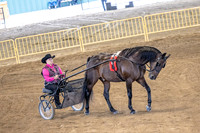 OSB_FallShow-0188