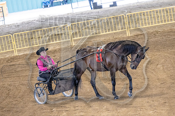 OSB_FallShow-0188