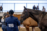 OSB_FallShow-0256