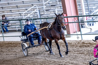 OSB_FallShow-0916