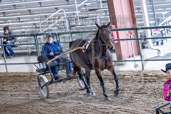 OSB_FallShow-0916