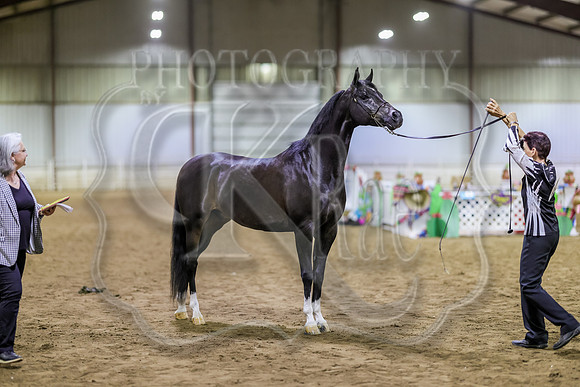 SASS-6318