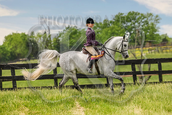 SASS-4061a