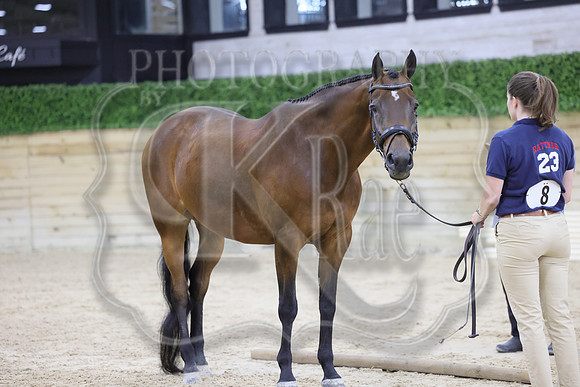 BN5A7776