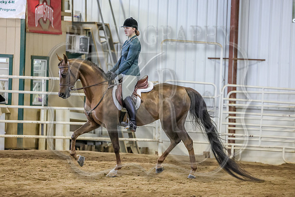 SahibaSa-4845