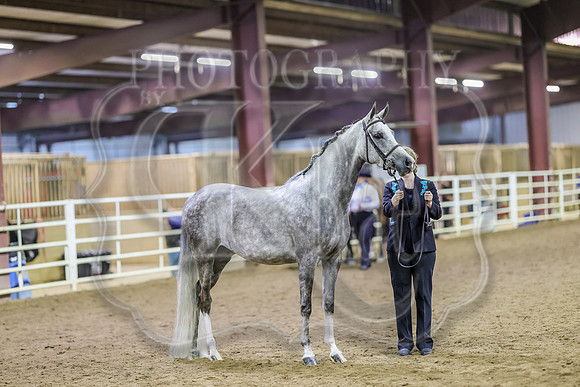 SASS-6192