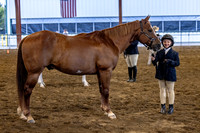 OSB_FallShow-0130