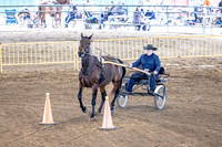 OSB_FallShow-0573