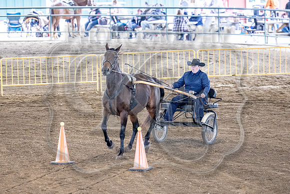 OSB_FallShow-0573