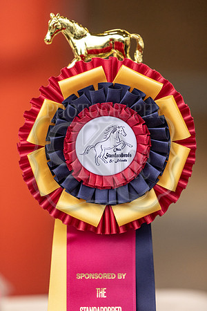 OSB_FallShow-0029