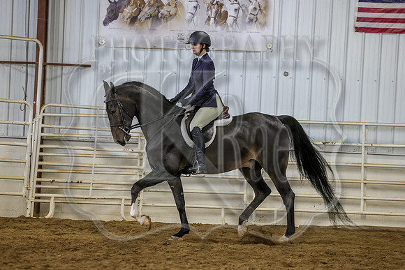 SASS-3919