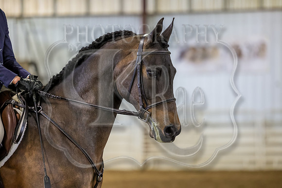 SASS-3732