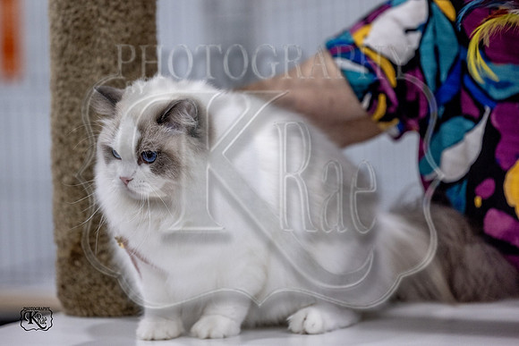 CFA_WLMGTN-0125