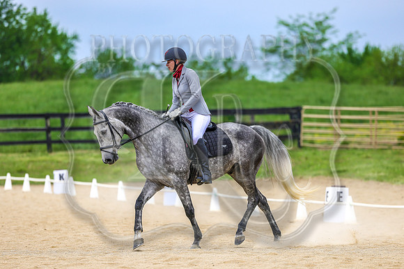 SASS-2119