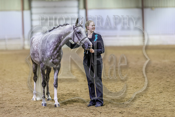 SASS-6213