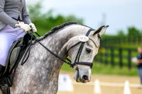 SASS-0920
