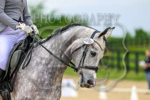 SASS-0920