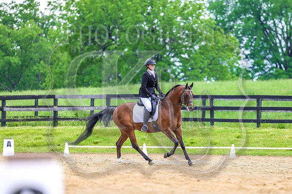 SASS-3917