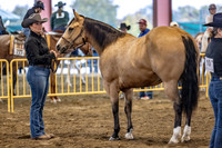 OSB_FallShow-2338