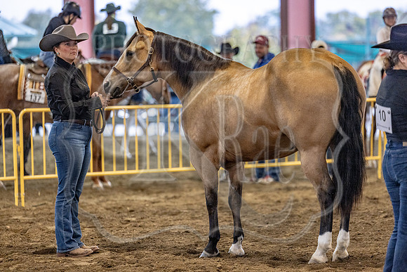 OSB_FallShow-2338