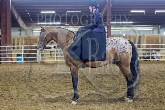 SASS-2677
