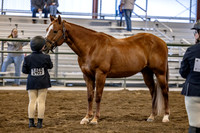 OSB_FallShow-0125