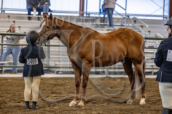 OSB_FallShow-0125