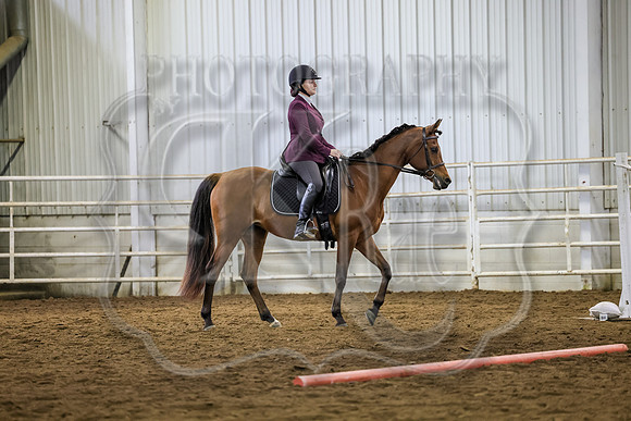 SASS-1299