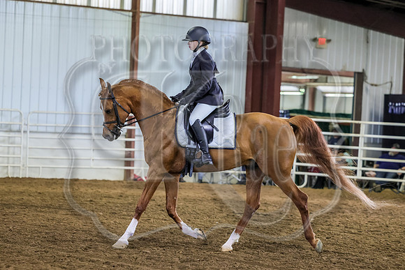 SASS-2149
